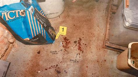 paul murdaugh autopsy photos|Photo Gallery: See evidence photos from Alex Murdaughs。